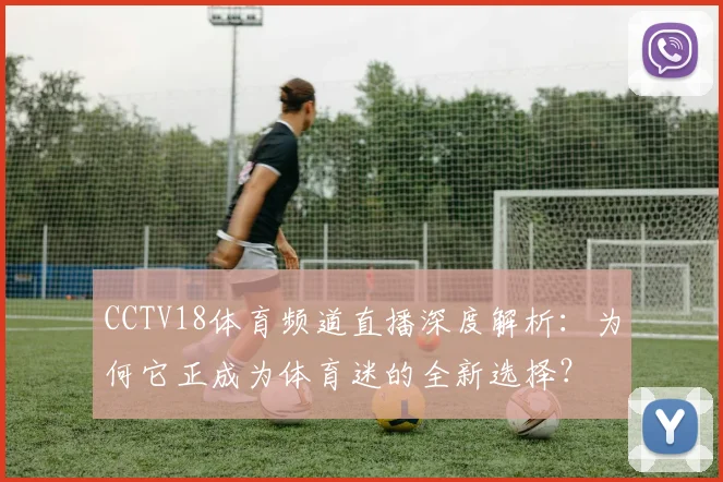 CCTV18体育频道直播深度解析:为何它正成为体育迷的全新选择?
