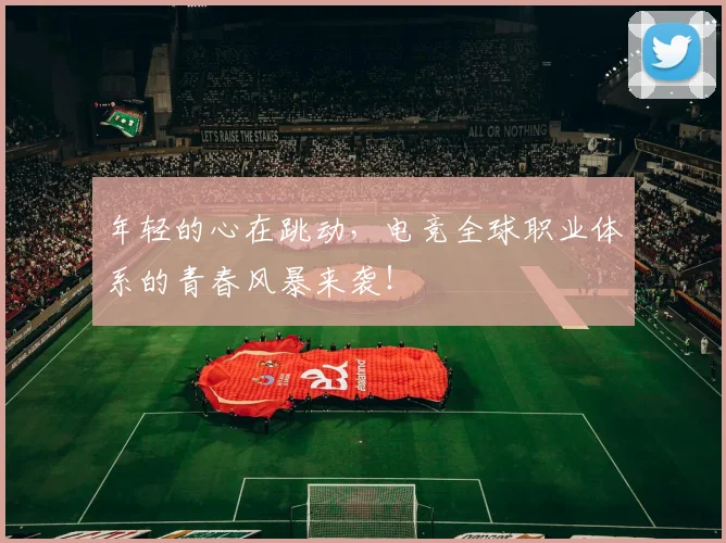 年轻的心在跳动，电竞全球职业体系的青春风暴来袭！