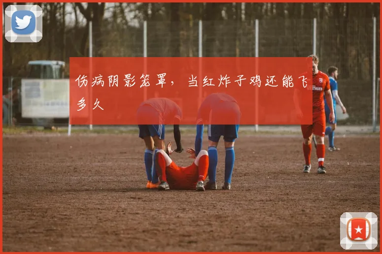 伤病阴影笼罩，当红炸子鸡还能飞多久