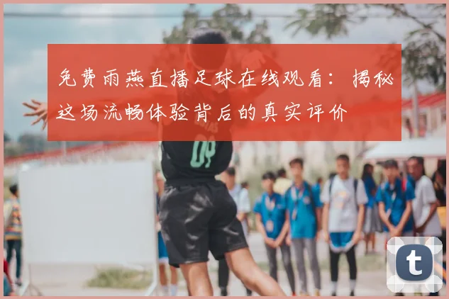 免费雨燕直播足球在线观看：揭秘这场流畅体验背后的真实评价