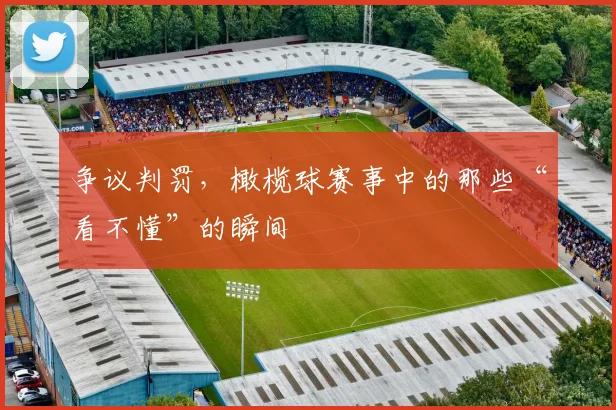 争议判罚，橄榄球赛事中的那些“看不懂”的瞬间