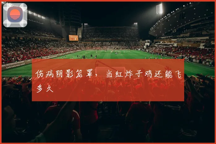 伤病阴影笼罩，当红炸子鸡还能飞多久
